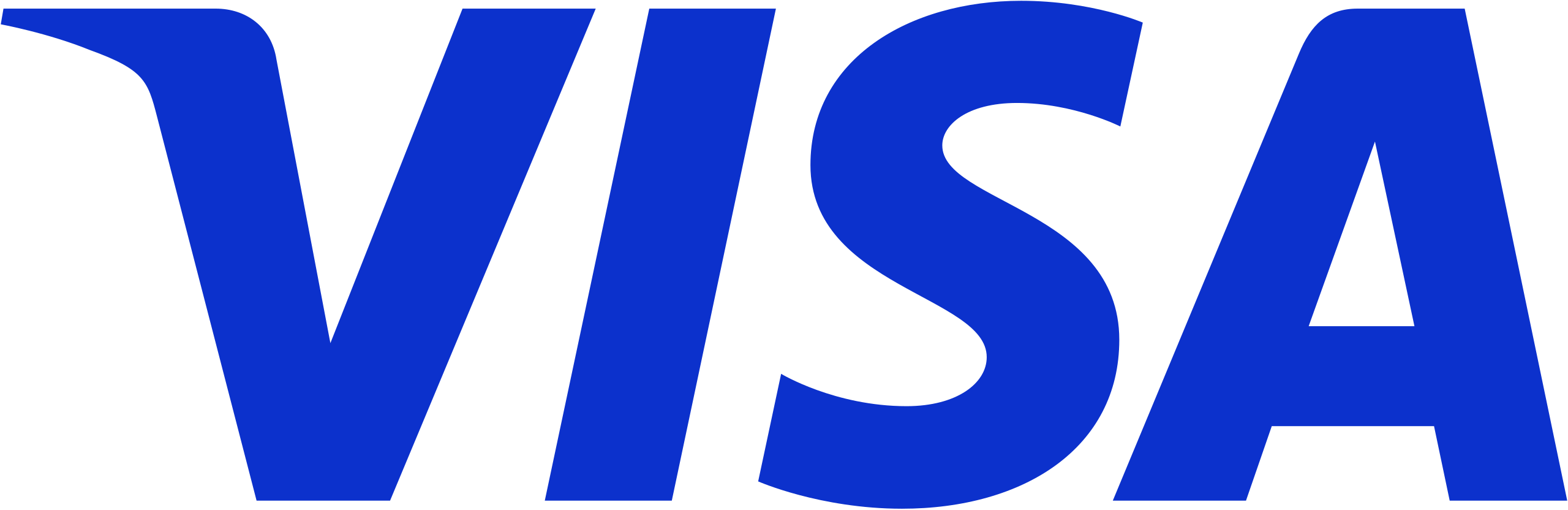 Partner Logo